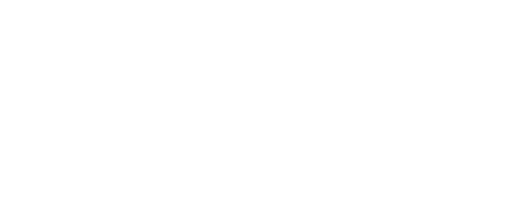 BSI Merch & Artist Services